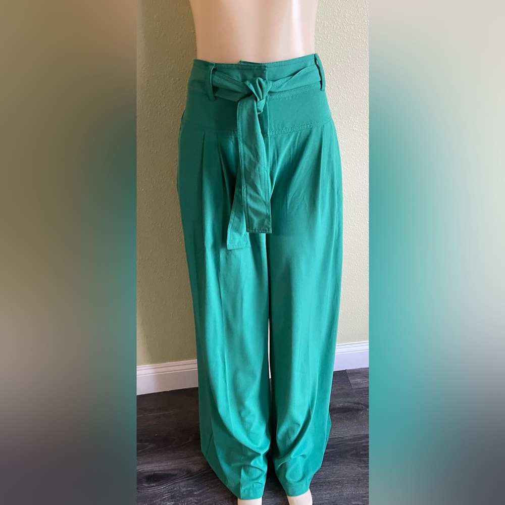 Gabrielle Union Elegant Green Women's Pants - Picture 1 of 6
